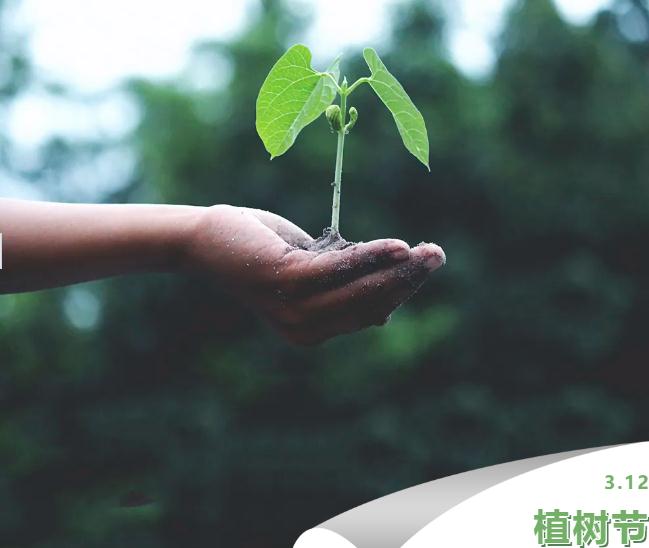 【商会活动】“植树添绿，共创绿色生态环境”安阳市新生代企业家商会春季植树活动